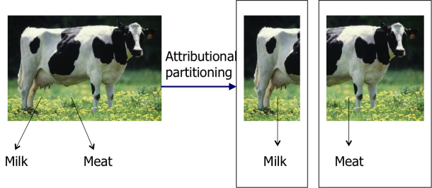 split cow